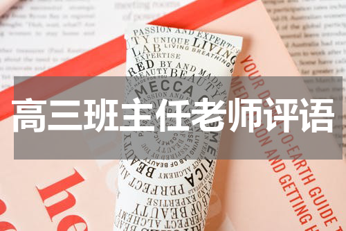 高三班主任老师评语