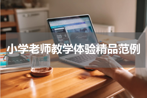 小学老师教学体验精品范例