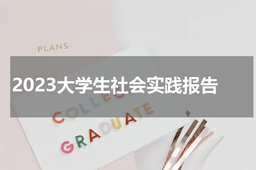 2023大学生社会实践报告
