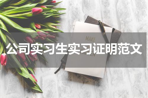 公司实习生实习证明范文