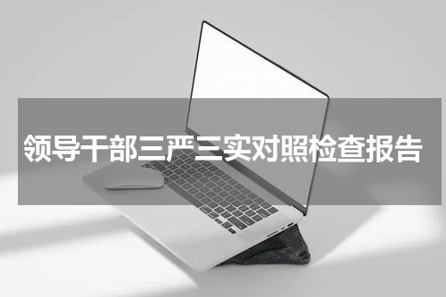 领导干部三严三实对照检查报告