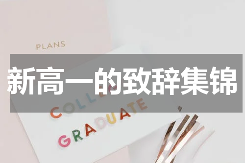 新高一的致辞集锦