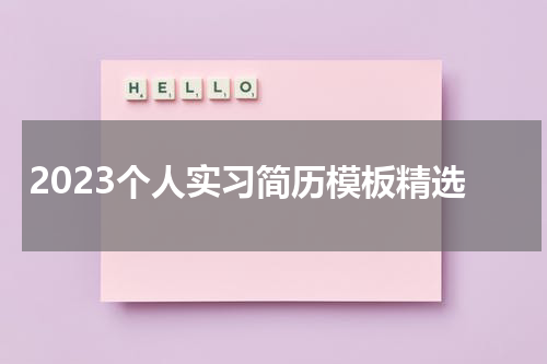 2023个人实习简历模板精选