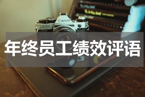 年终员工绩效评语