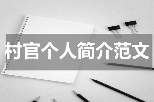 村官个人简介范文