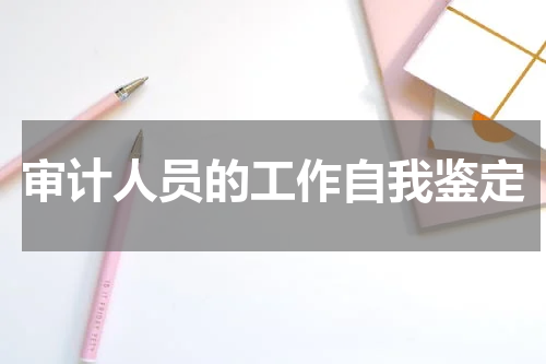 审计人员的工作自我鉴定