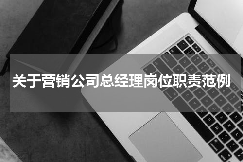 关于营销公司总经理岗位职责范例