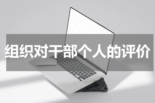 组织对干部个人的评价