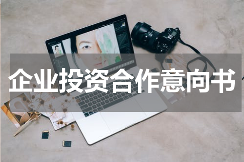 企业投资合作意向书