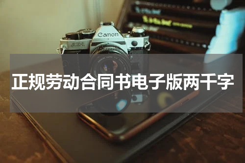 正规劳动合同书电子版两千字