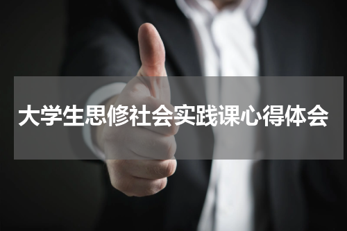大学生思修社会实践课心得体会
