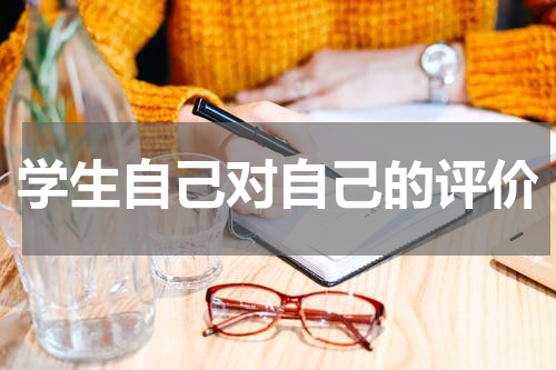 学生自己对自己的评价