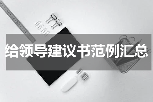 给领导建议书范例汇总