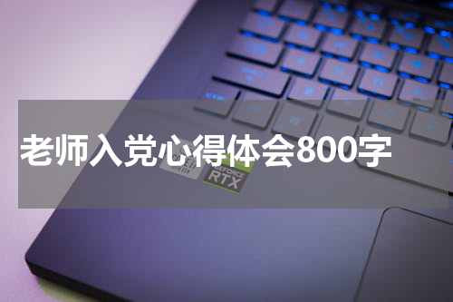 老师入党心得体会800字