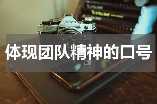 体现团队精神的口号