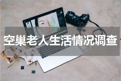 空巢老人生活情况调查