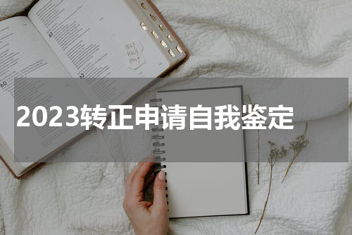 2023转正申请自我鉴定