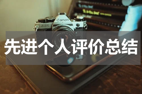 先进个人评价总结