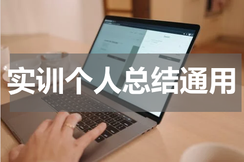 实训个人总结通用