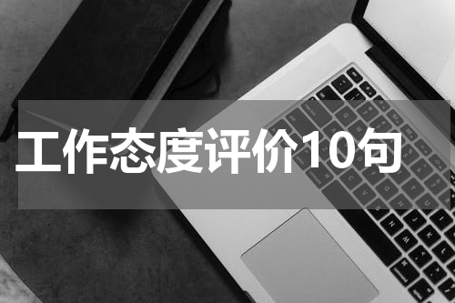 工作态度评价10句