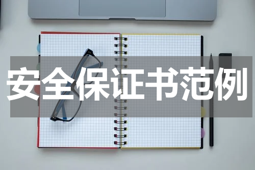安全保证书范例