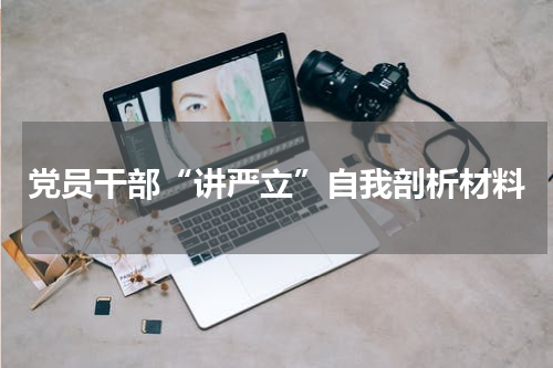 党员干部“讲严立”自我剖析材料