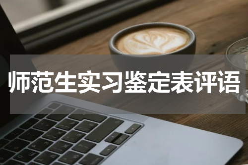 师范生实习鉴定表评语