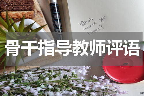 骨干指导教师评语