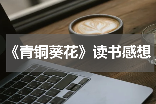 《青铜葵花》读书感想