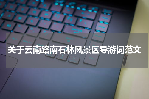 关于云南路南石林风景区导游词范文