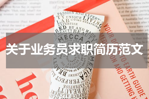 关于业务员求职简历范文