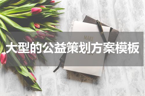 大型的公益策划方案模板