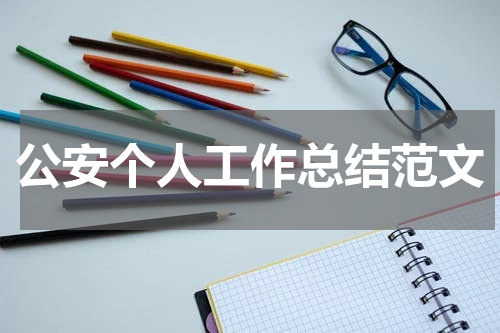 公安个人工作总结范文