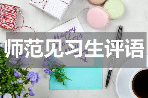 师范见习生评语