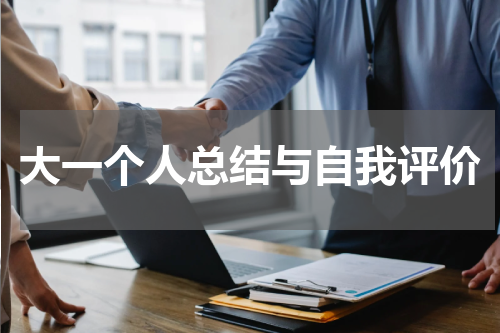 大一个人总结与自我评价