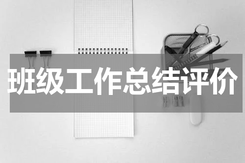 班级工作总结评价