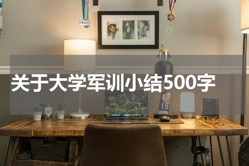 关于大学军训小结500字