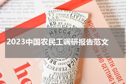 2023中国农民工调研报告范文