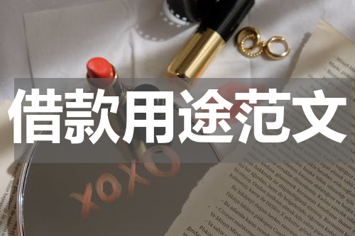 借款用途范文