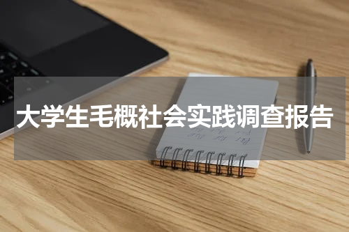 大学生毛概社会实践调查报告