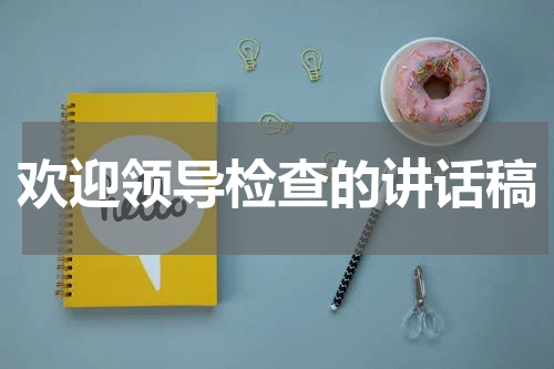 欢迎领导检查的讲话稿