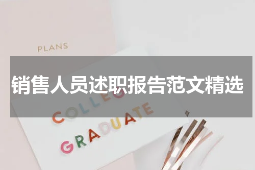 销售人员述职报告范文精选