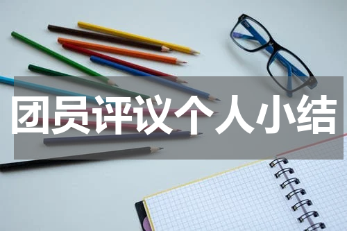 团员评议个人小结