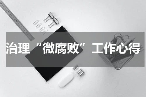 治理“微腐败”工作心得