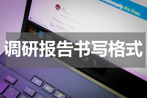 调研报告书写格式