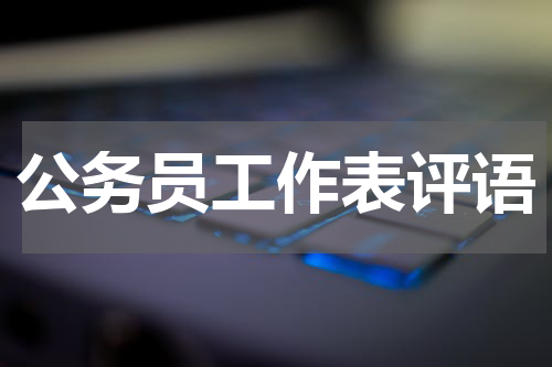 公务员工作表评语