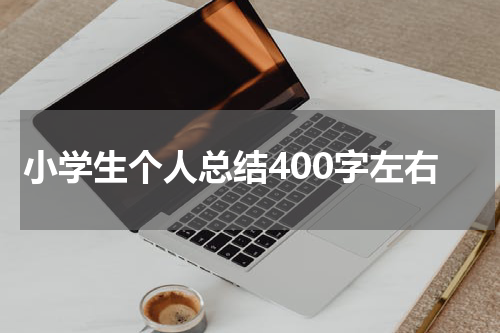 小学生个人总结400字左右