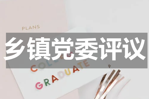 乡镇党委评议