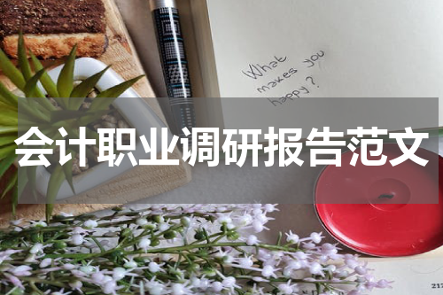 会计职业调研报告范文