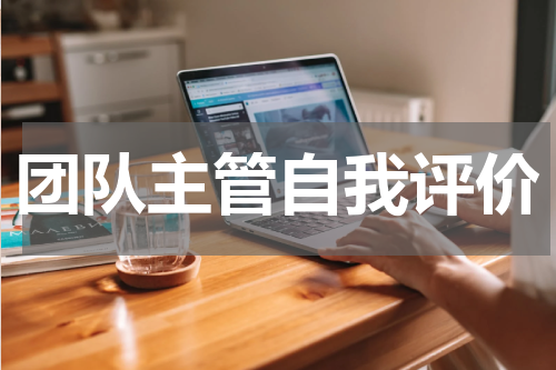 团队主管自我评价